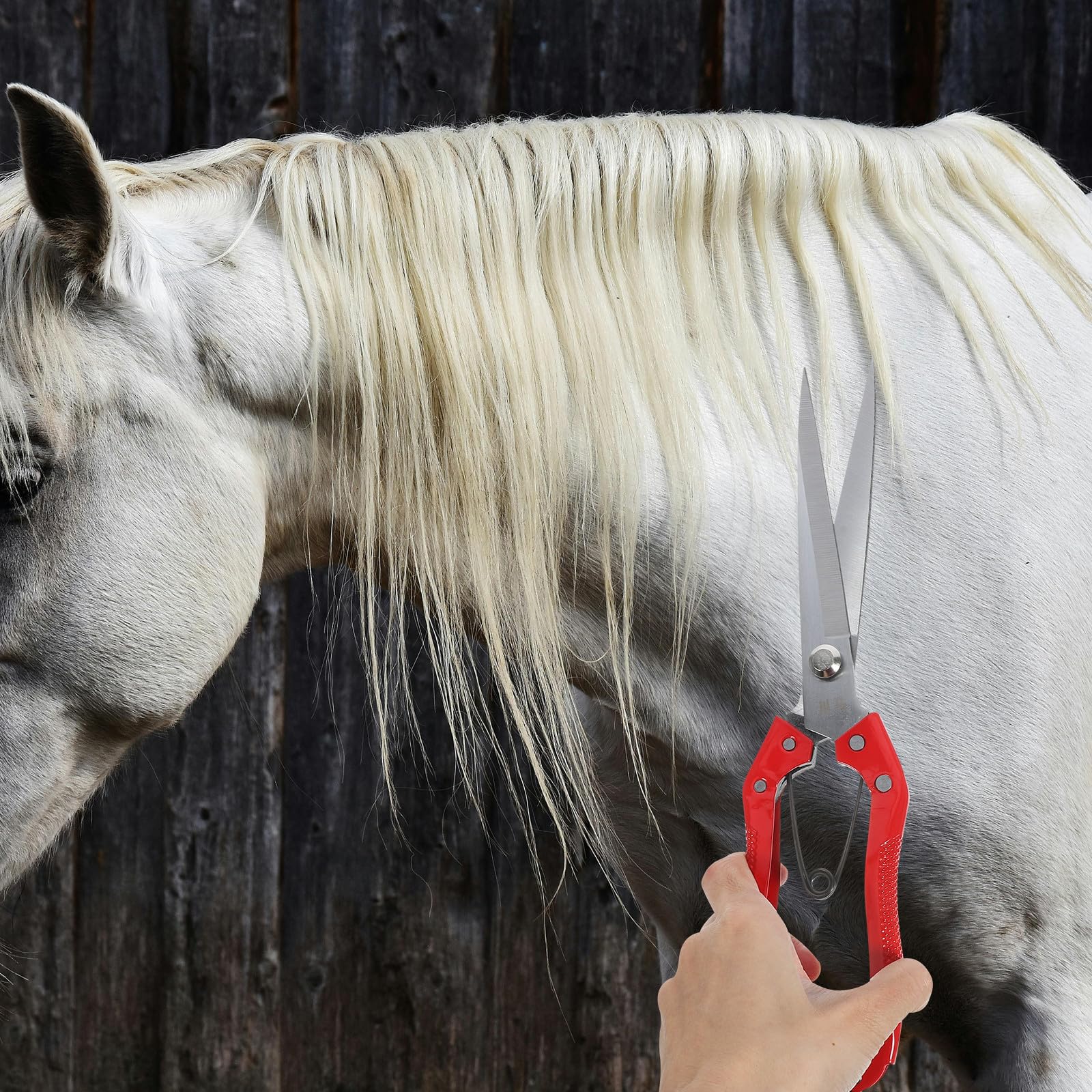 Tijeras Manuales para Esquilar Ovejas, Tijeras Topiarias para Lana de Vaca y Crines de Caballo, Herramienta para Cuidado de Animales Grandes