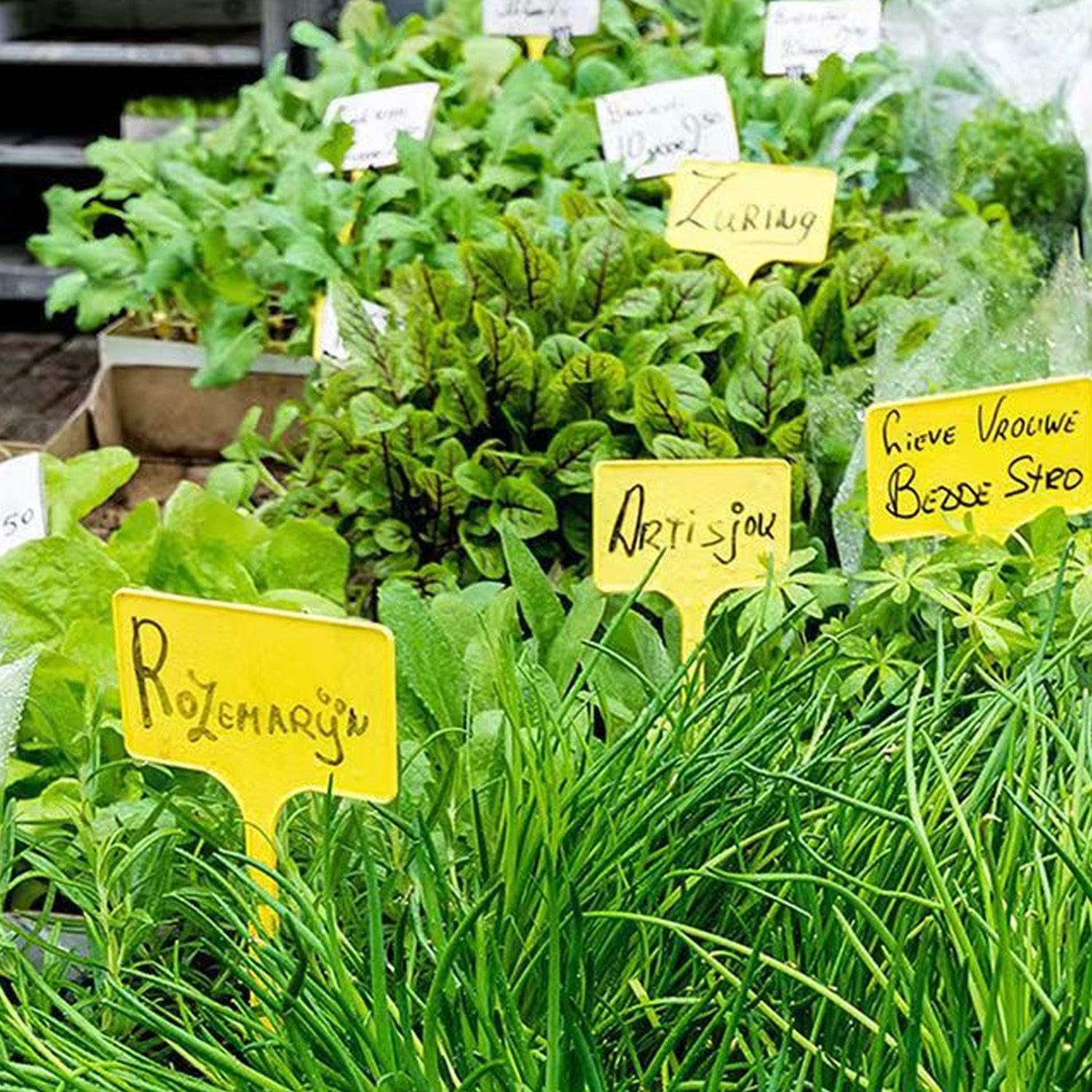 Box da Giardino A 3 A Forma di Cuore E 3 Segni, Decorazioni da Giardino, Ghiaia Vegetale, Decorazioni da Giardino.