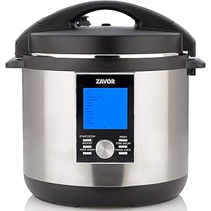 fagor multi function pot