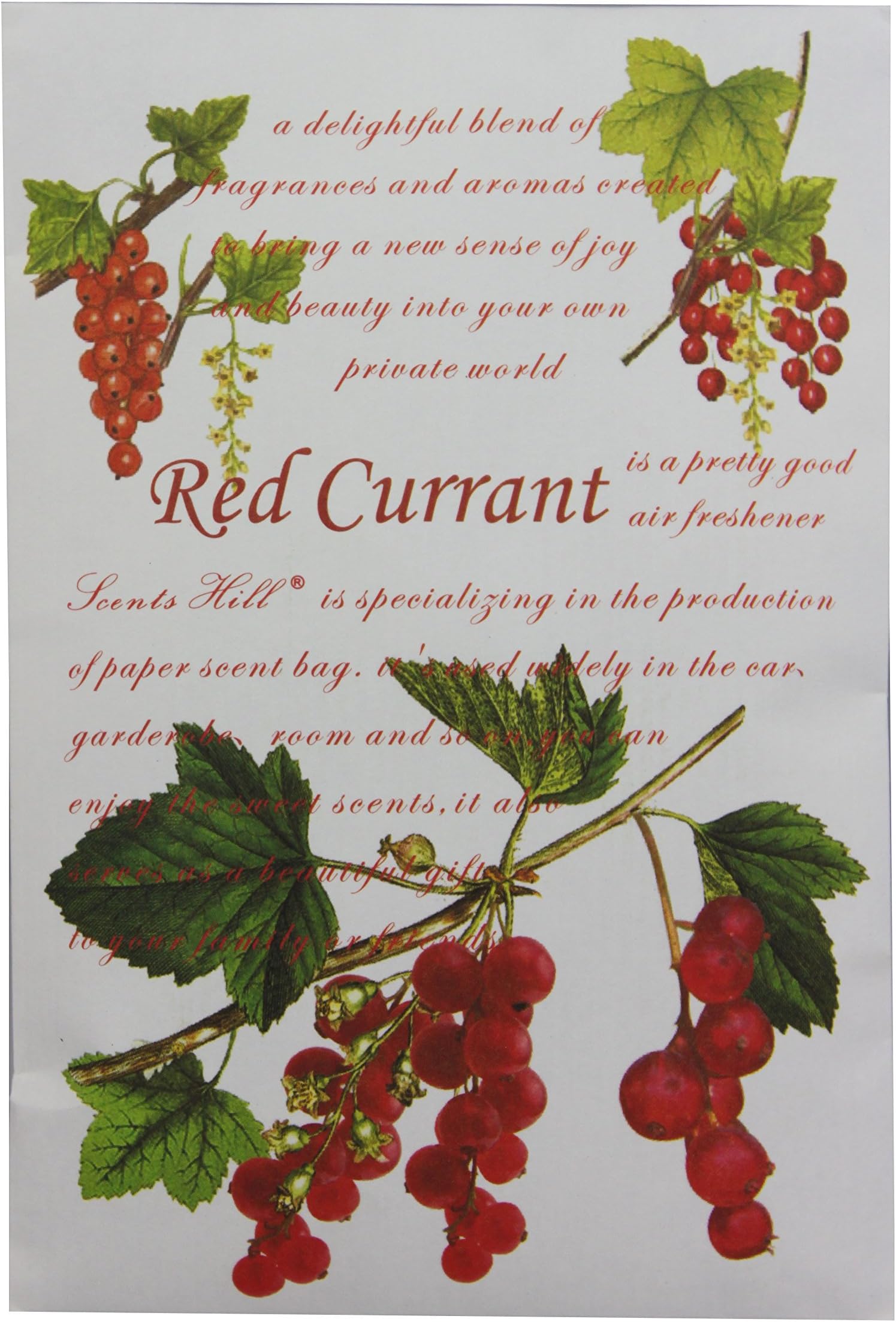Scents Hill Air Freshener Scented Sachet, Lot of 4 (Red Currant)