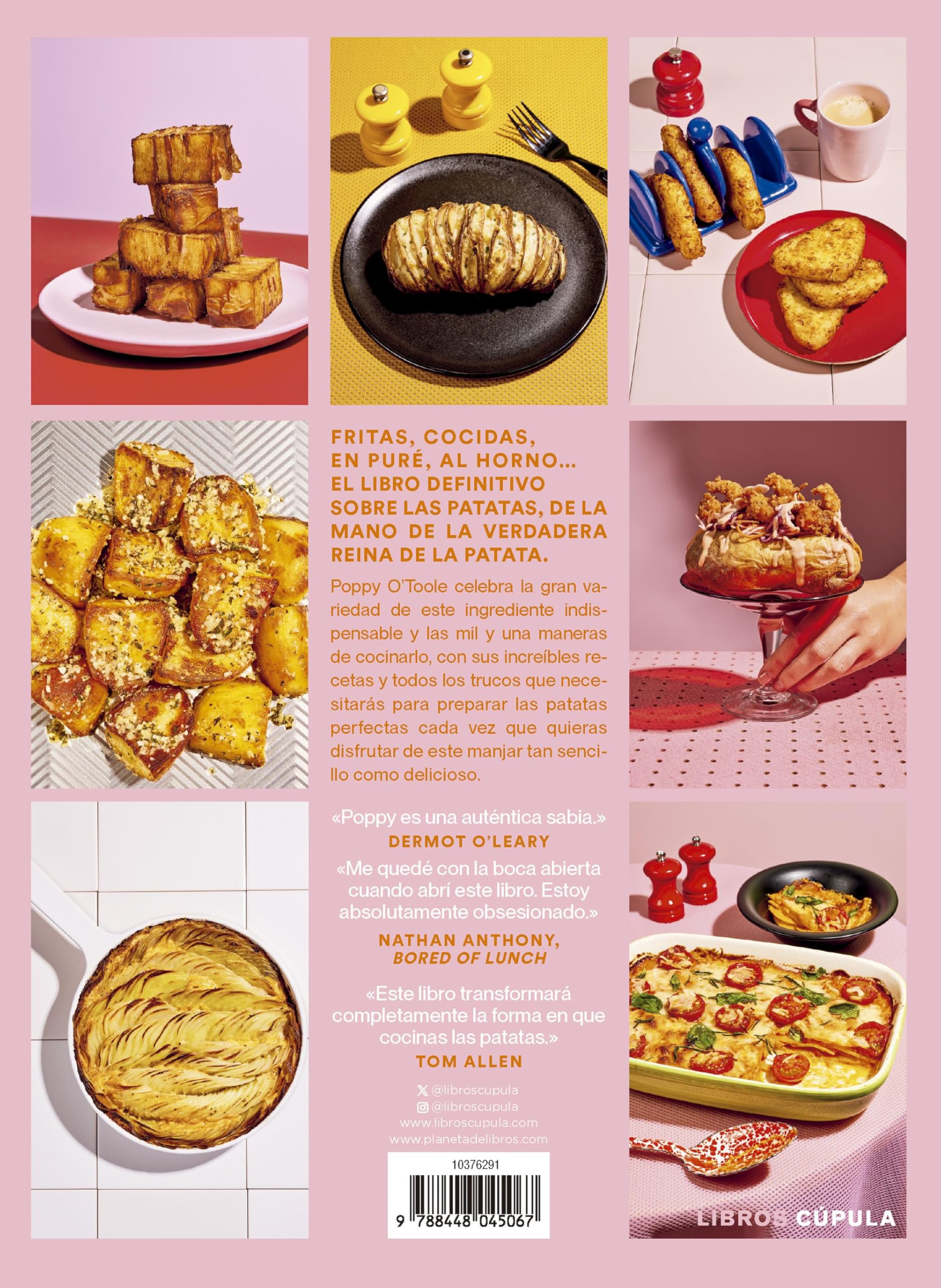 Patata: 101 recetas irresistibles (Cocina)