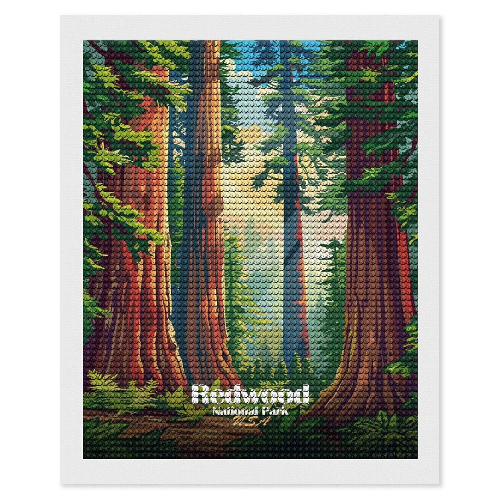Junmoney Redwood National Park Illustration(2) Diamond Painting Canvas Kit 16"x20", Adhesive Canvas, Christmas Gift, Full Kit Included, Thoughtful Present