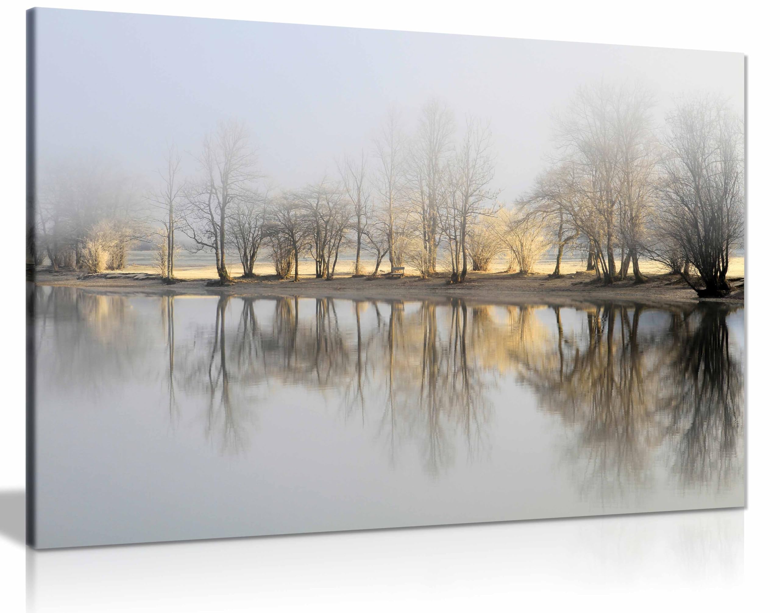 Panther Print Framed Canvas January Morning Canvas Print, Framed Wall Art Pictures For Home Decor 91X61cm (36X24in)