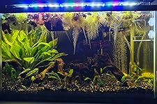 Review Image by Heather potts Heather potts