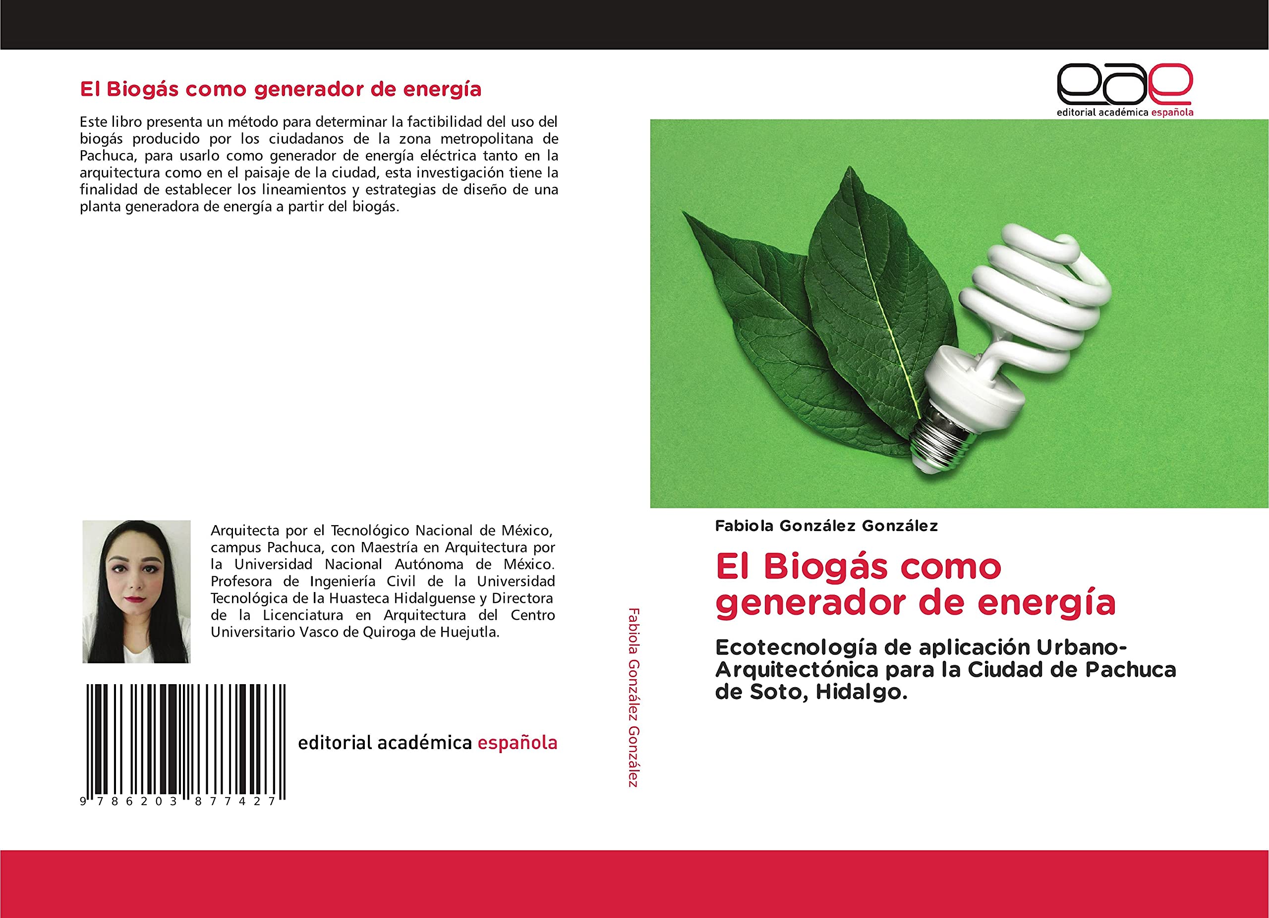 Biogás comme générateur d'énergie application éco-architecturale Pachuca manuel expert