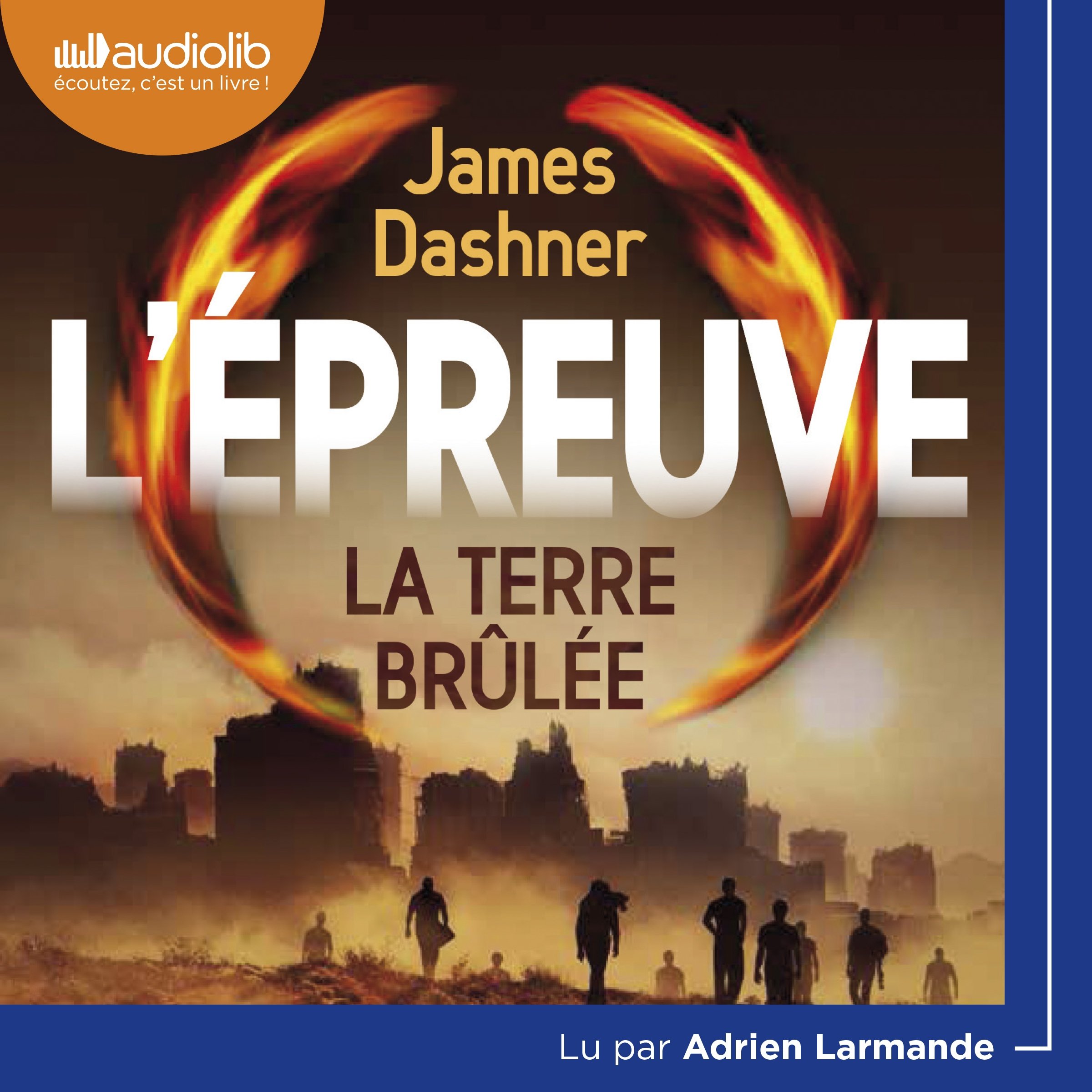 Cover art for La terre brulée