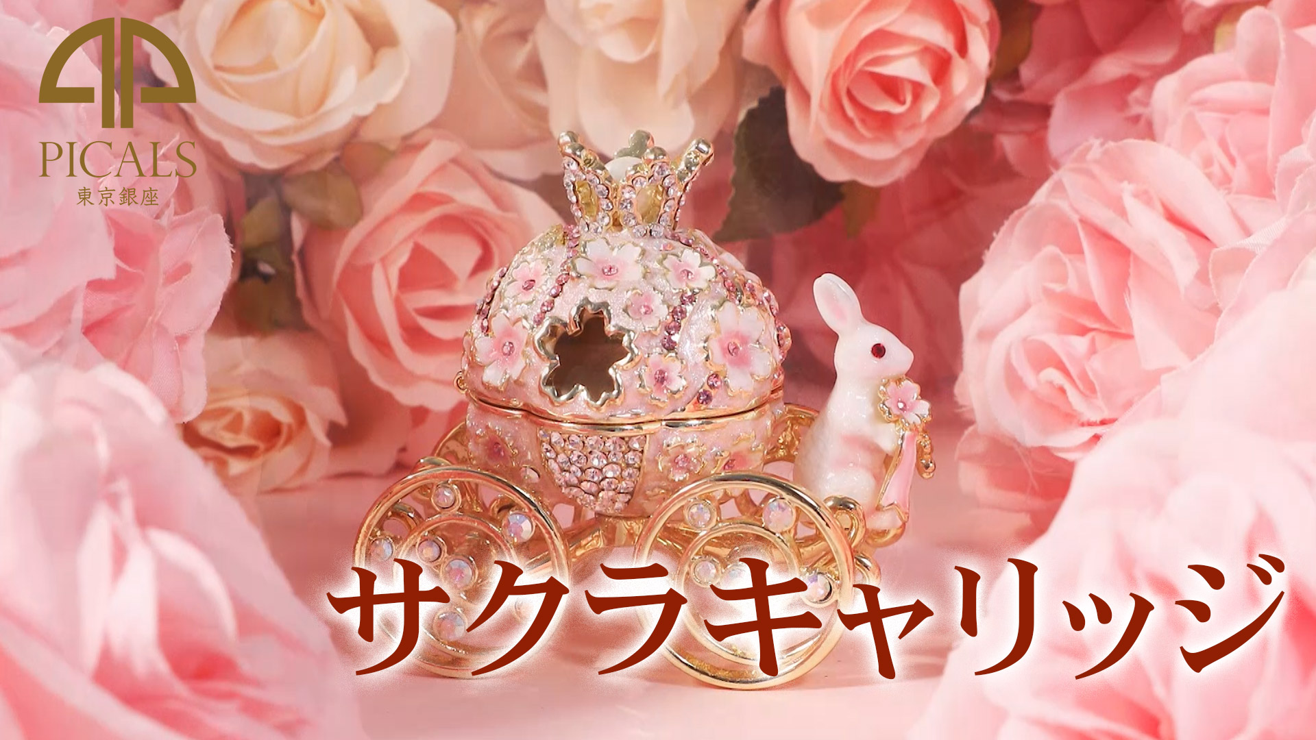Amazon.co.jp: 東京銀座PICALS（ピカルス）: さくら