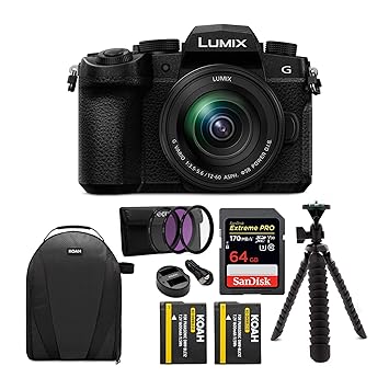 Panasonic Lumix G DC-G95M 20MP 4K Mirrorless Camera (Black) with LUMIX G Vario 12-60mm / F3.5-5.6 ASPH. / Power O.I.S. Lens