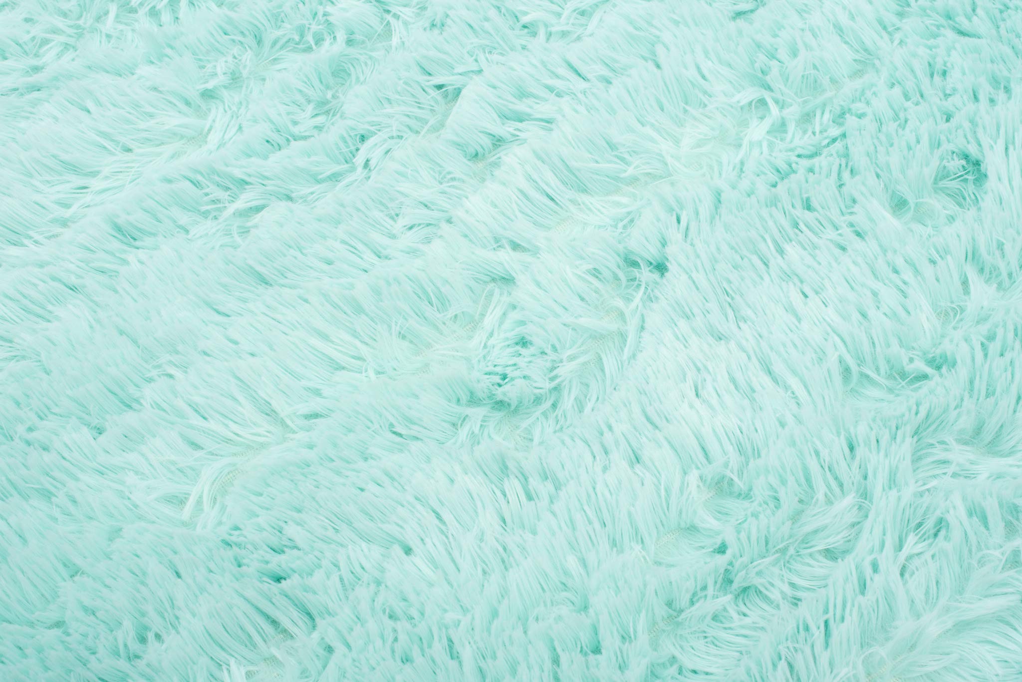 Tapiso Silk Shaggy dywan z wysokim runem, nowoczesny, długie runo, jednokolorowy, mięta pieprzowa, do sypialni, salonu, pokoju dziecięcego, Ökotex 200 x 300 cm