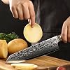 Wakoli Kiritsuke Damascus Knife with 20 cm Blade Sharp Chef's Knife Made of 67 Layers of Damascus Steel & VG10 Core Professional Knife for Meat Fish & Vegetables Ergonomic Epoxy Resin Handle in Gift Box