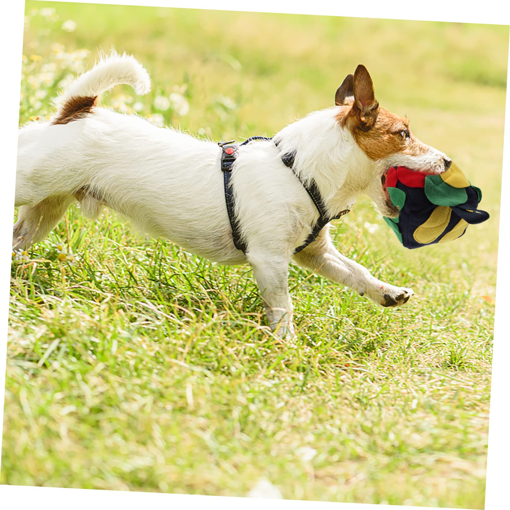 Sosoport 2stücke Hundeschnüffelball Aus Interaktives Futterspielzeug Für Hunde Fördert Spiel Und Training Für Kleine Und Große Hunde Vintage