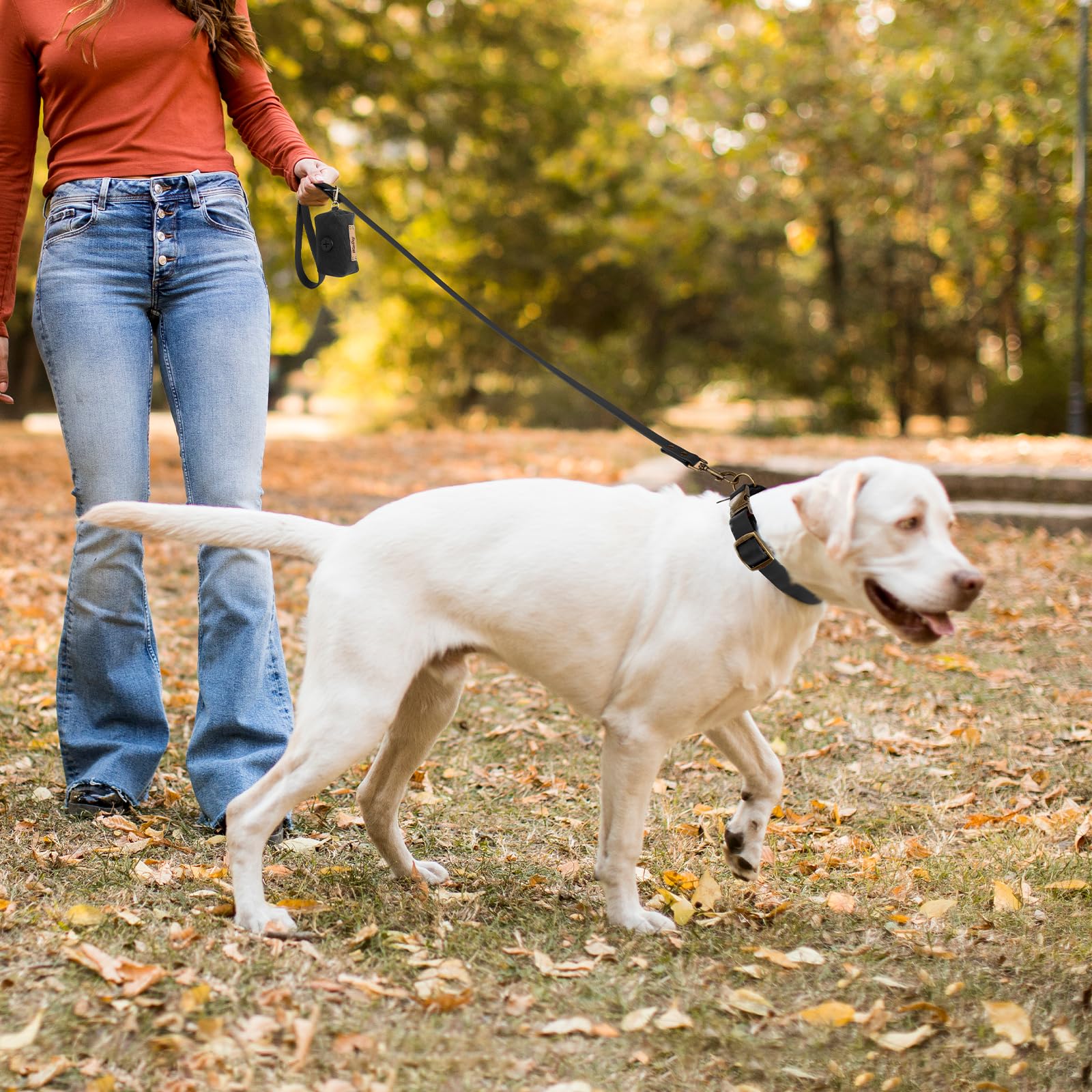 Wisedog Juego de collar y correa para perros: collares ajustables para perros pequeños, medianos y grandes, incluye 1 soporte para bolsas de excrementos (cuello de 35,5 a 55,88 cm. Correa: