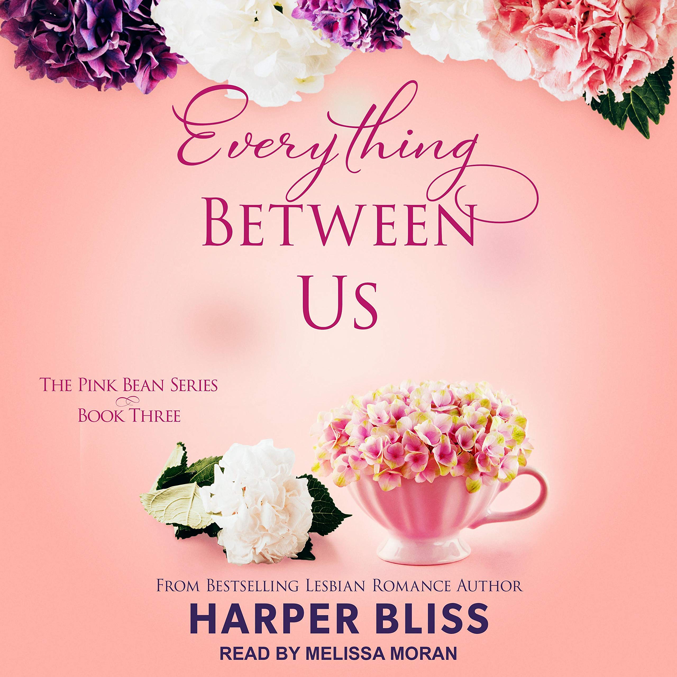 Cover art for Everything Between Us