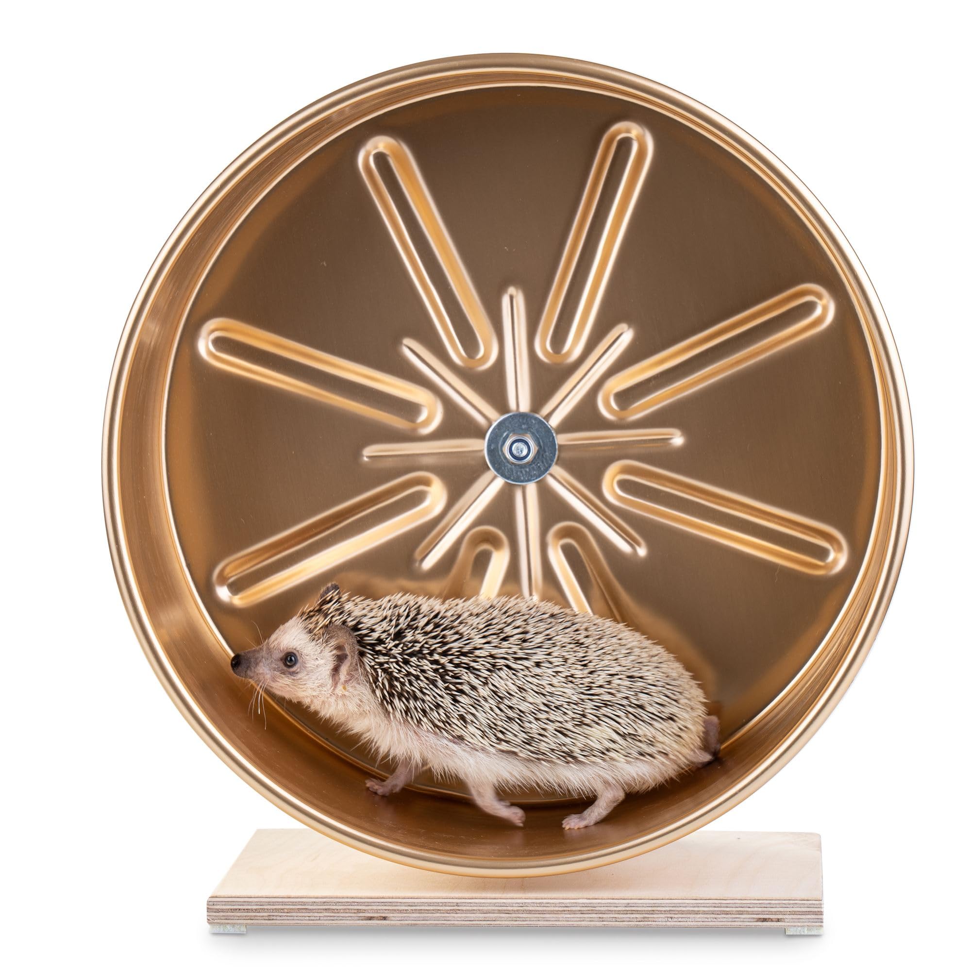 Laufrad für Igel und andere Kleintiere, 30 cm groß, 12 cm Laufoberfläche, Aluminium, leicht zu reinigen