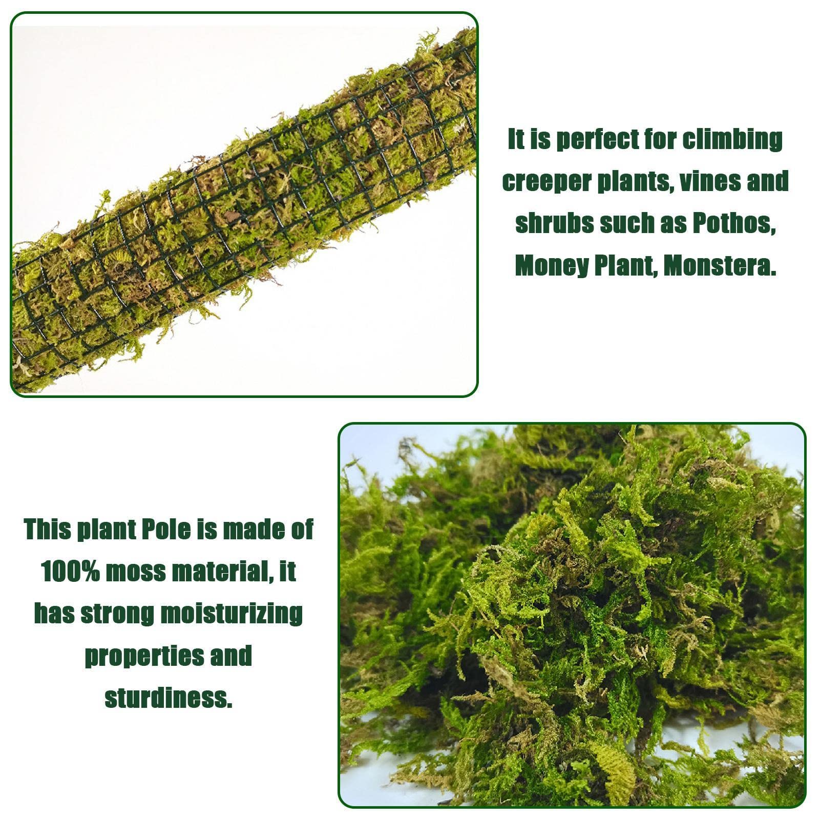 Moosstangen für Kletterpflanzen - Stapelbare selbstbewässernde Moosstäbe für Zimmerpflanzen - Monstera Plant Support zur Bereitstellung Einer hervorragenden Kletterumgebung für Pflanzen