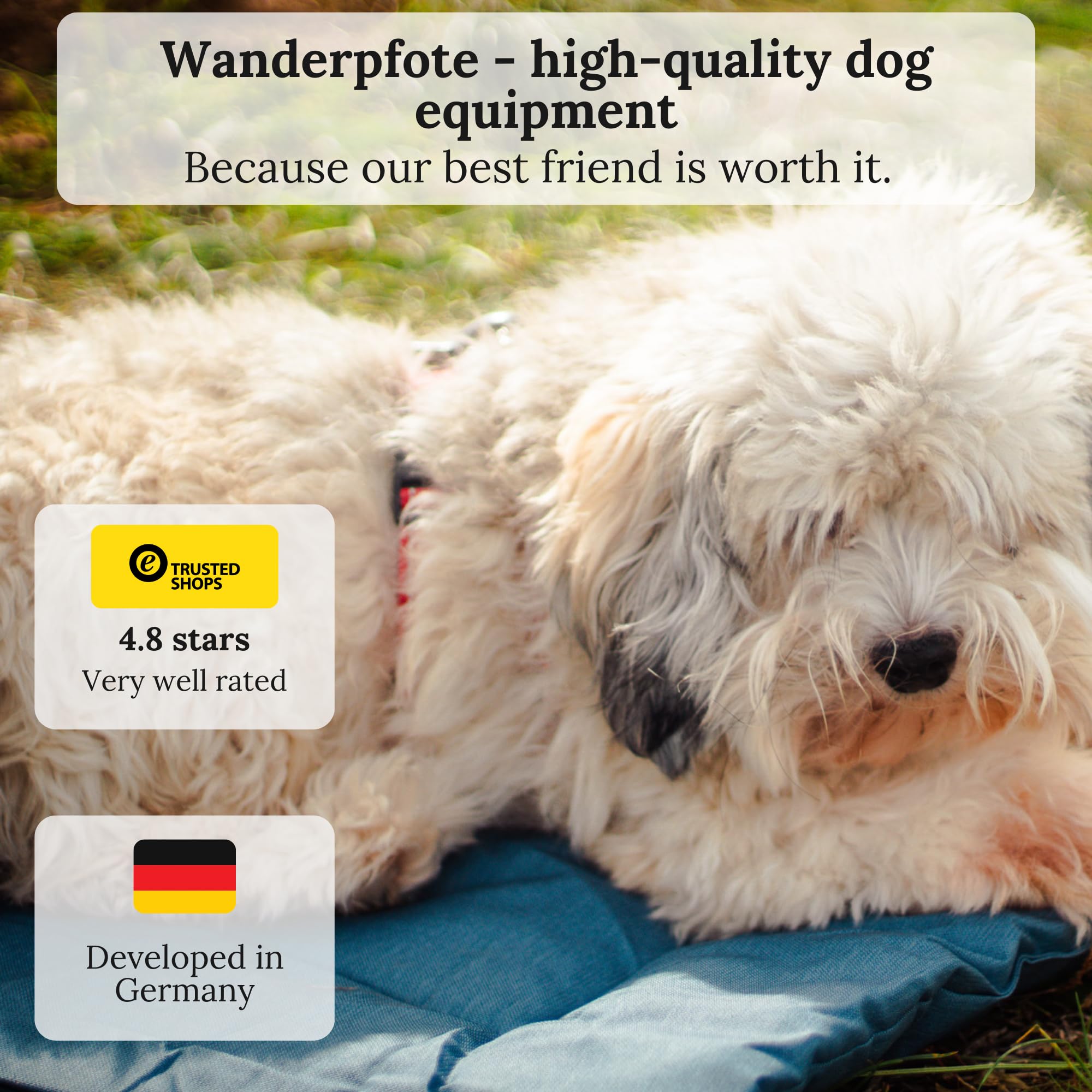 Wanderpfote Dog Blanket for Travel 90 x 60 cm, Washable, Orthopaedic, Waterproof, High-Quality Design, Outdoor Dog Mat - Image 3