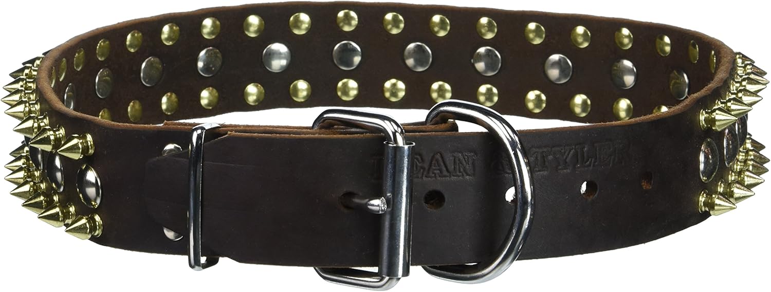 Dean & Tyler The Golden Spike Dog Collar with Beautiful Brass and Nickel Hardware from Italy, Brown, Fits Neck Size 26 by 30-Inch