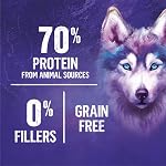 Beyond Wild nourriture sèche pour chiens, recette de dinde, œuf et bouillon d'os - Sac de 4,5 kg (1 paquet)