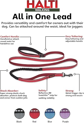 Miniatura 13 de HALTI Active Strap – Correa elástica para perro, galardonada correa elástica para perro, absorbe los golpes, cinturón acolchado de neopreno todo en