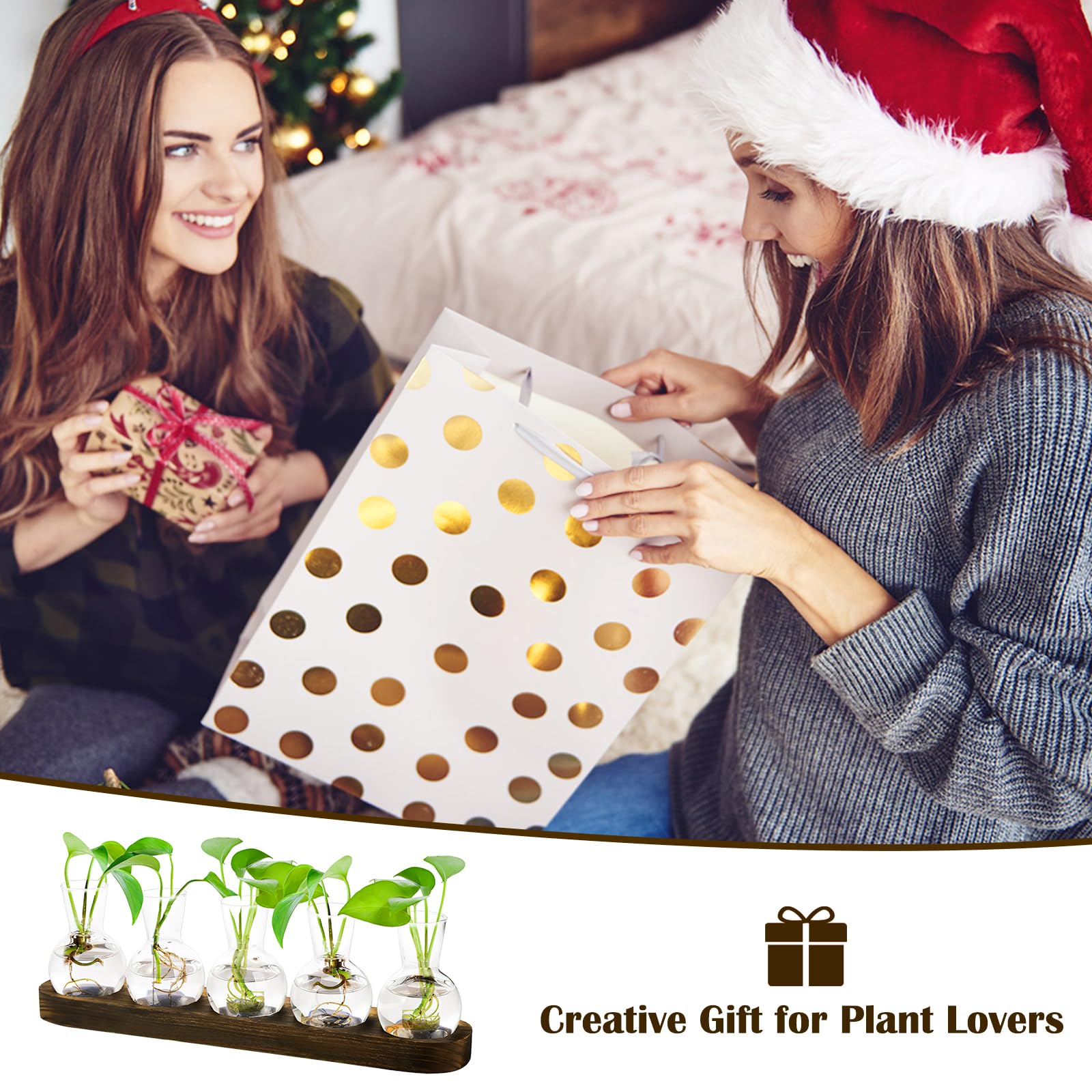 Stations de Propagation de Plantes avec Support en Bois, Lot de 5 Pots de Fleurs en Verre, Terrarium en Verre pour Plantes hydroponiques, Cadeau de Maman pour la Maison et Le Bureau