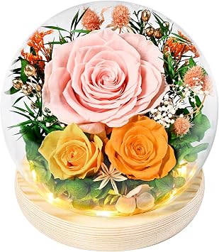 Waipfaru Flowers for Delivery Prime, Forever Fresh Preserved Flowers in Glass Dome, Eternal Yellow Rose for Mother Birthday Gifts, Best for Women Girlfriend