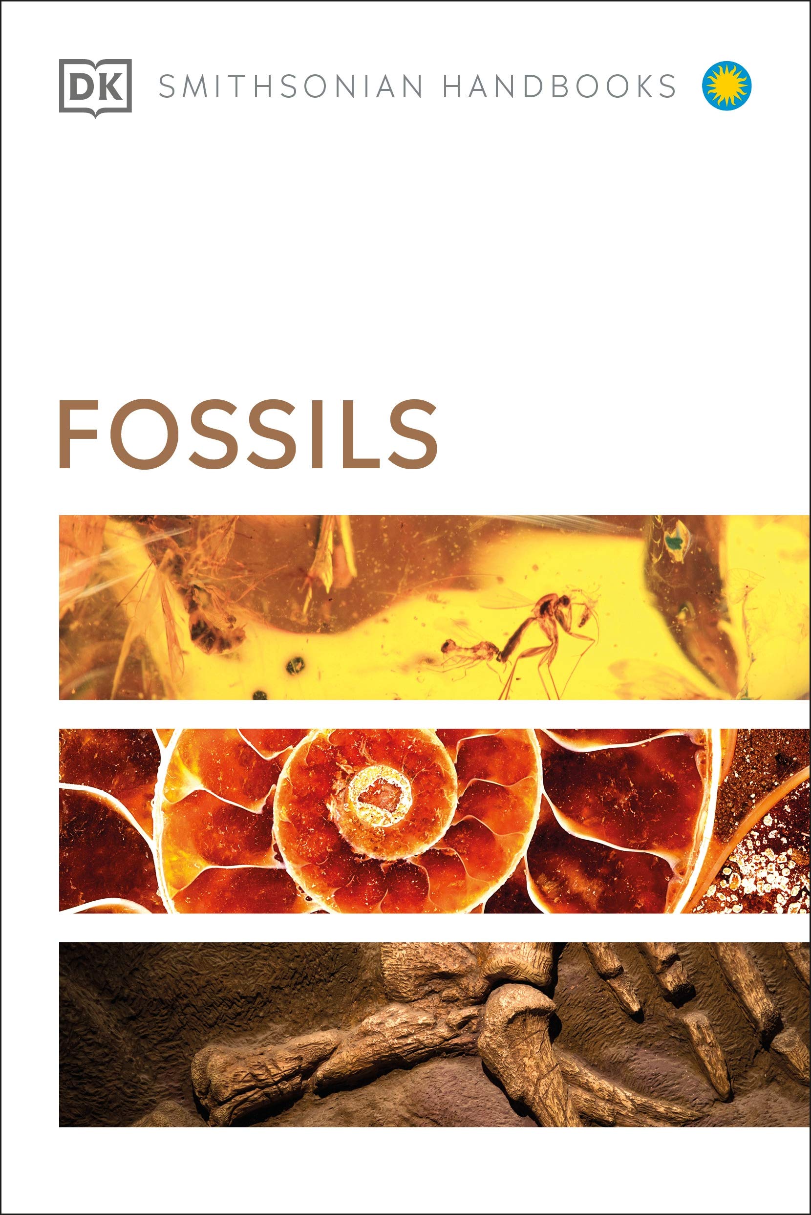 Fossils