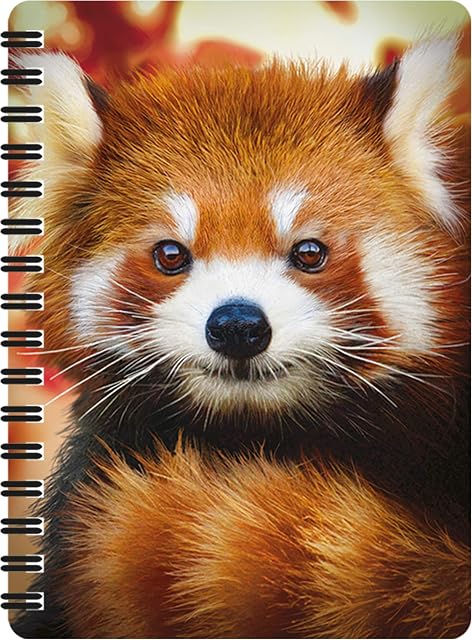3D LiveLife Jotter - Baby Red Panda from Deluxebase. Lenticular 3D Red Panda A6 Spiral Notebook with Plain Recycled Paper Pages. Artwork Licensed from Renowned Artist David Penfound