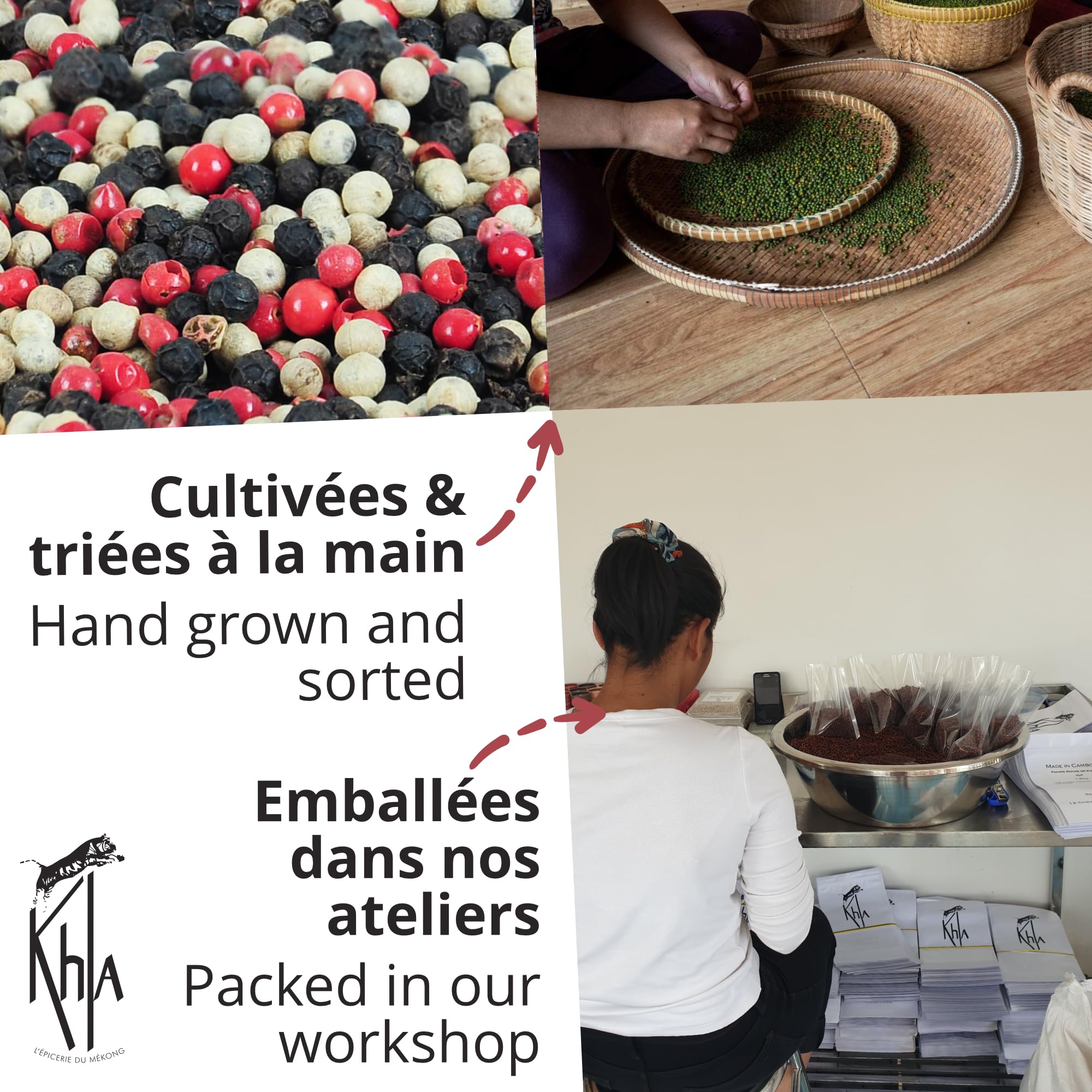 Khla - Bunter Pfeffer Ganz Bio 500g - Schwarzer, Weißer & Rosa Pfeffer - Bunt Kampot Pfefferkörner - Premium Qualität - Limitierte Produktion - Direkt vom Erzeuger - Aus Kambodscha & Madagaskar