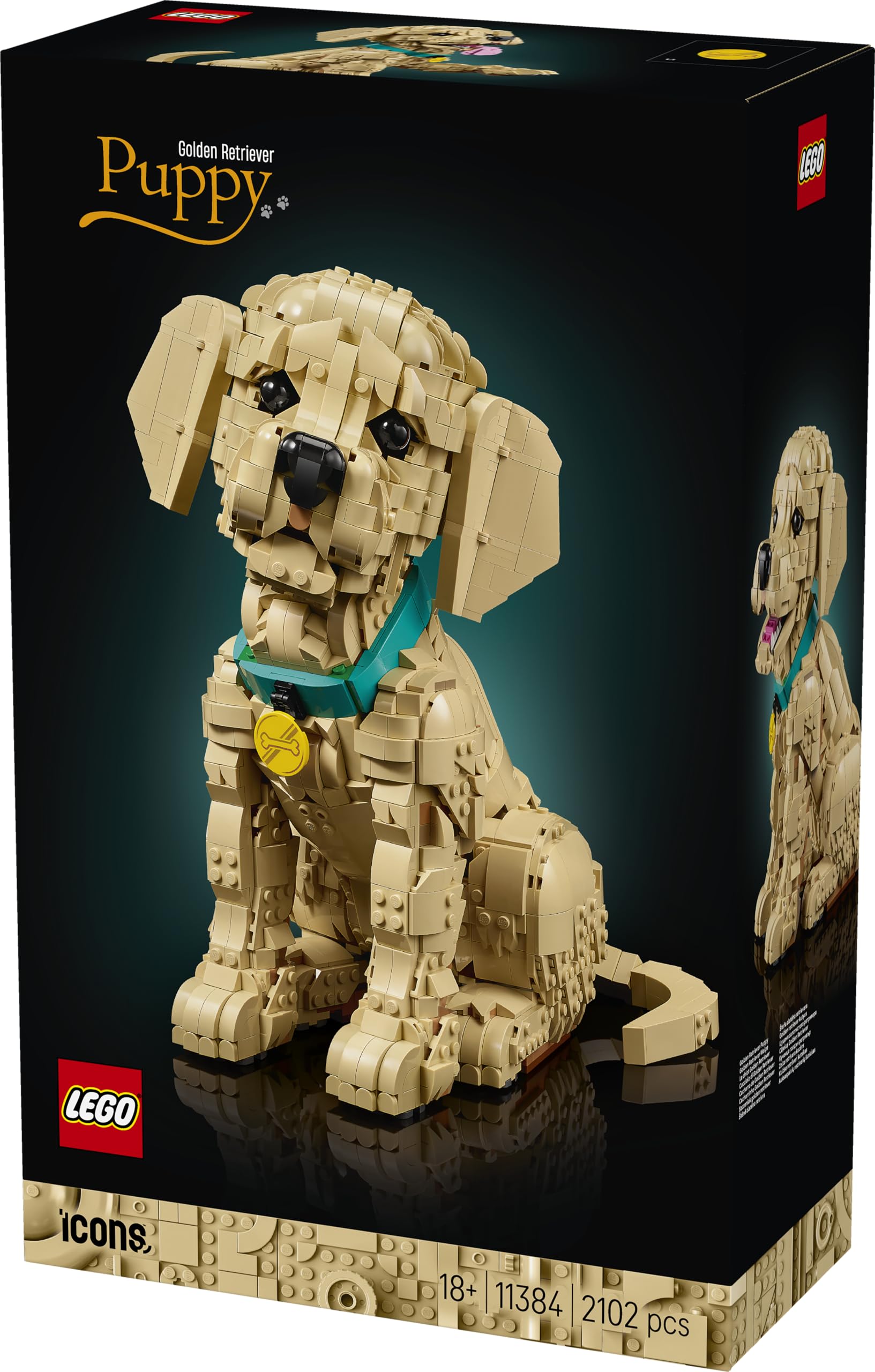 LEGO Icons Cucciolo di Golden Retriever - Kit Modellismo per Adulti - Modello 3D di Animale da Esposizione con Collare e Medaglietta per Cane - Decorazione Fai da Te - Idea Regalo Artigianale - 11384