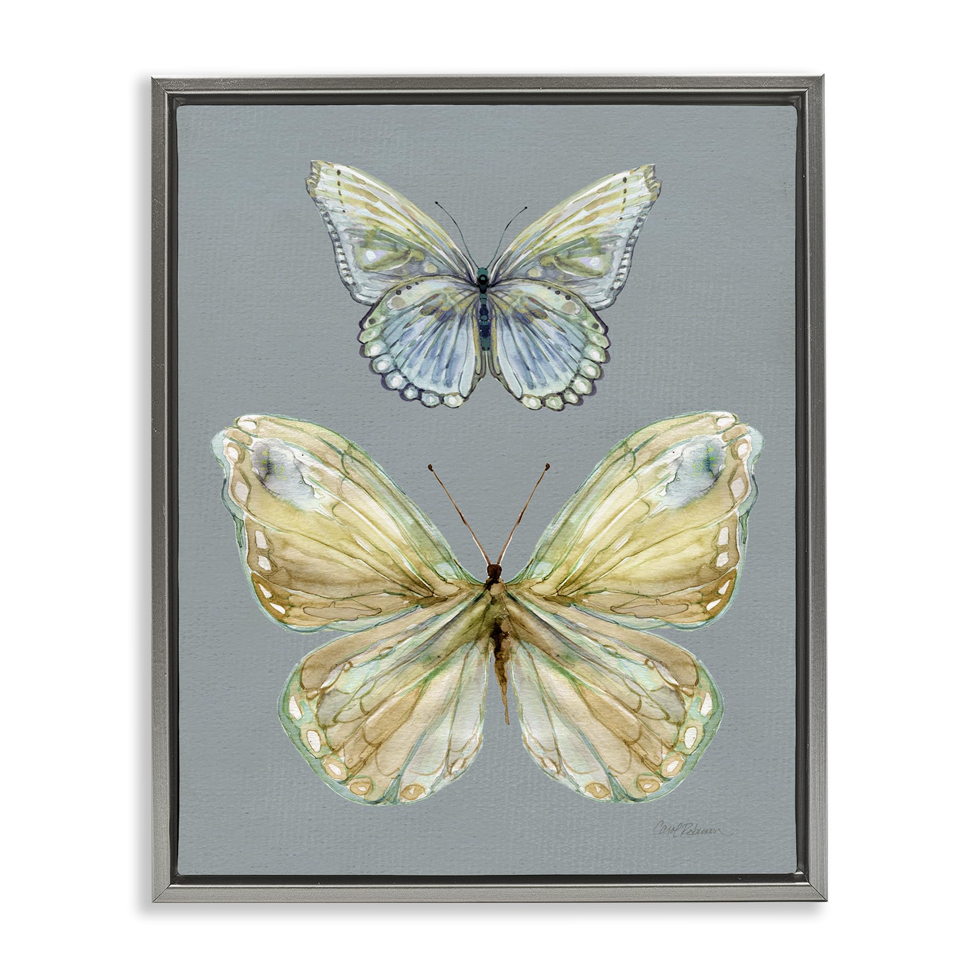 Stupell Industries Luster Gray (Matte) 'Delicate Butterflies On Slate'| Floating Frame Canvas Art