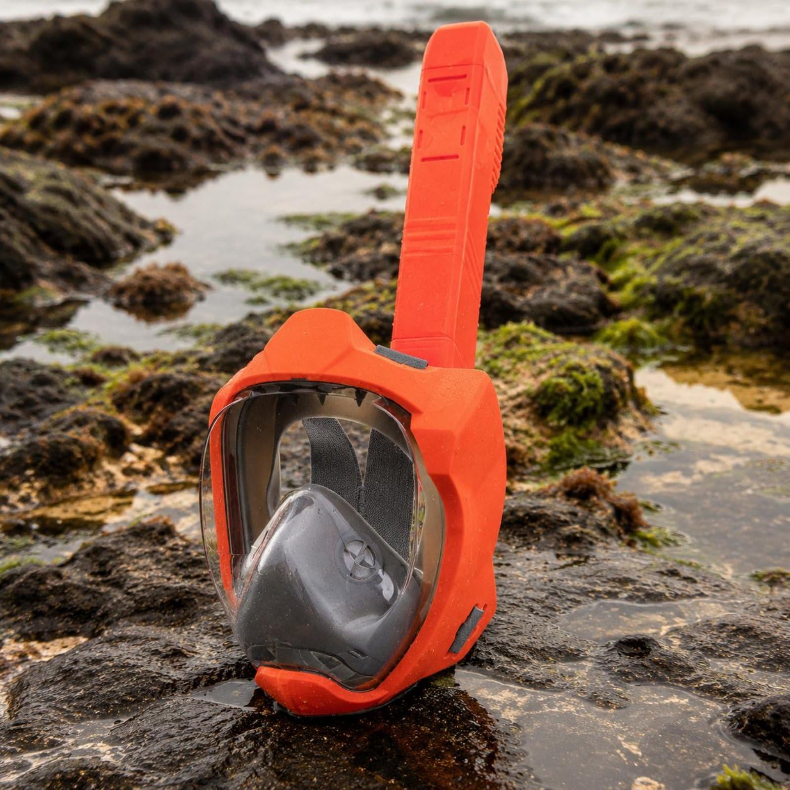 Harilla Máscara de Buceo con Visor Panorámico Gafas de Snorkel de Natación Equipo de Snorkel Sellado Estable y Cómodo para Sesiones Largas Adecuada para