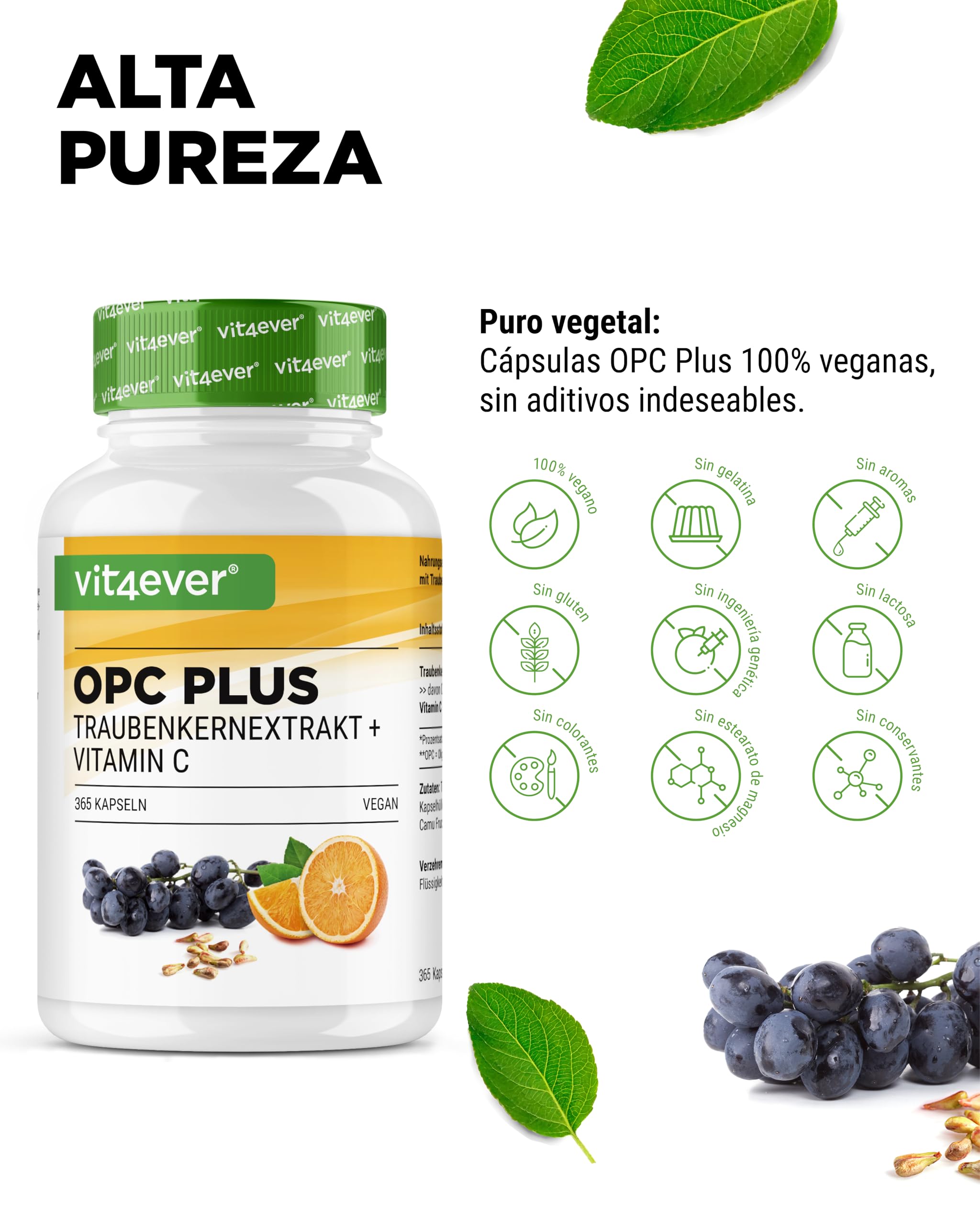 OPC extracto de semilla de uva + vitamina C natural - 365 cápsulas para 12 meses - Máximo contenido de opc según HPLC - Vegano