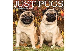 Willow Creek Press Pugs Monthly 2025 Wall Calendar