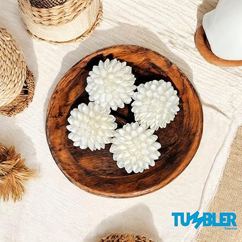 Miniatura 2 de Tumbler Home Esfera de concha marina blanca real, 3 pulgadas de ancho, decoración de estante de casa de playa, bolas decorativas costeras para