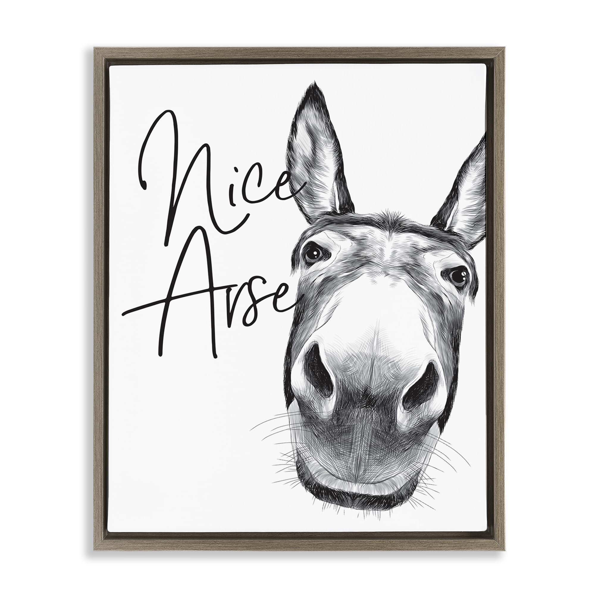 Donkey Bathroom Humor Comic, 17 x 21 Inch Canvas in Floater Frame