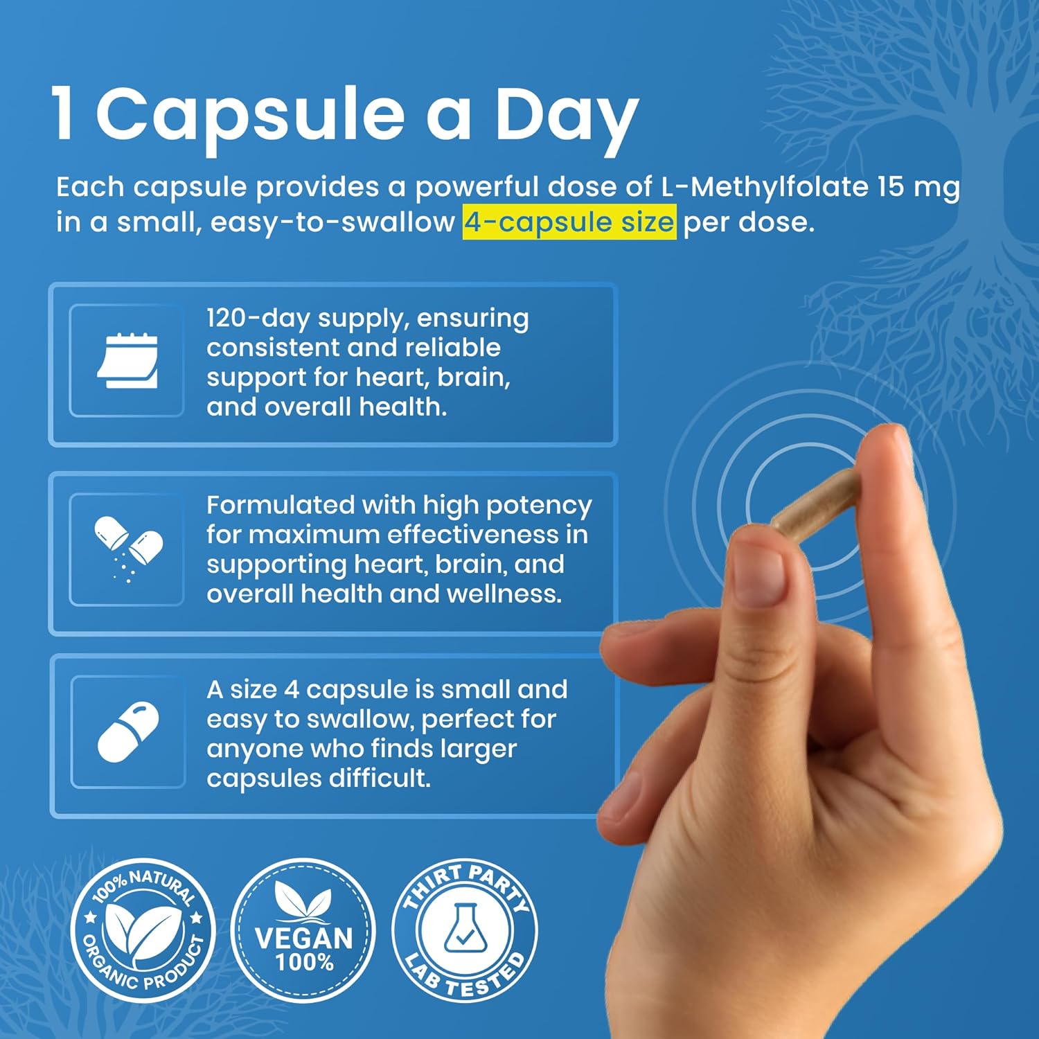 L-Methylfolate 15 MG 120 CAPSULESOptimized & Highly Bioactive Methyl Folate, 5-MTHF Supplement for Mood and Immune Support, Natural Diet Supplement for Energy, Non-GMO & Gluten-Free,