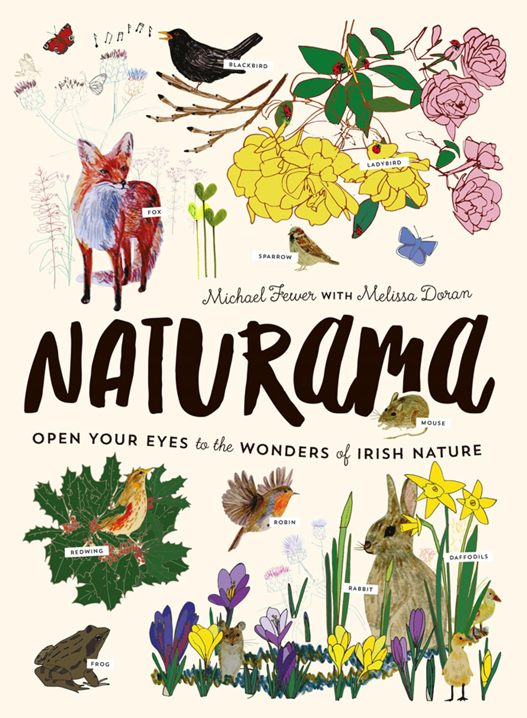 Naturama: Open Your Eyes to the Wonders of Irish Nature (What Can You See)