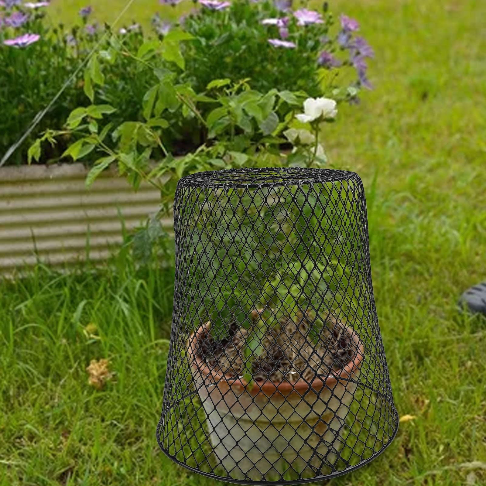 Griglia per piante sicura per gatti in ferro 23 x 23 cm giardino (5 pezzi)