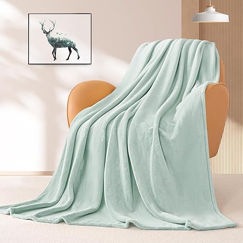 Miniatura 6 de BEAUTEX - Manta de vellón para sofá, sillón o cama manta de franela supersuave, ligera, mullida y afelpada, para todas las estaciones (color menta,