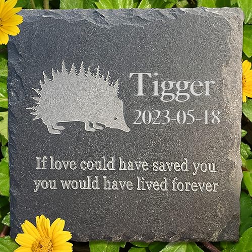 Miniatura 13 de Regalo de piedra conmemorativa para mascotas, lápida conmemorativa de jardín, marcador de tumba de Gecko, lápida de condolencia, regalo