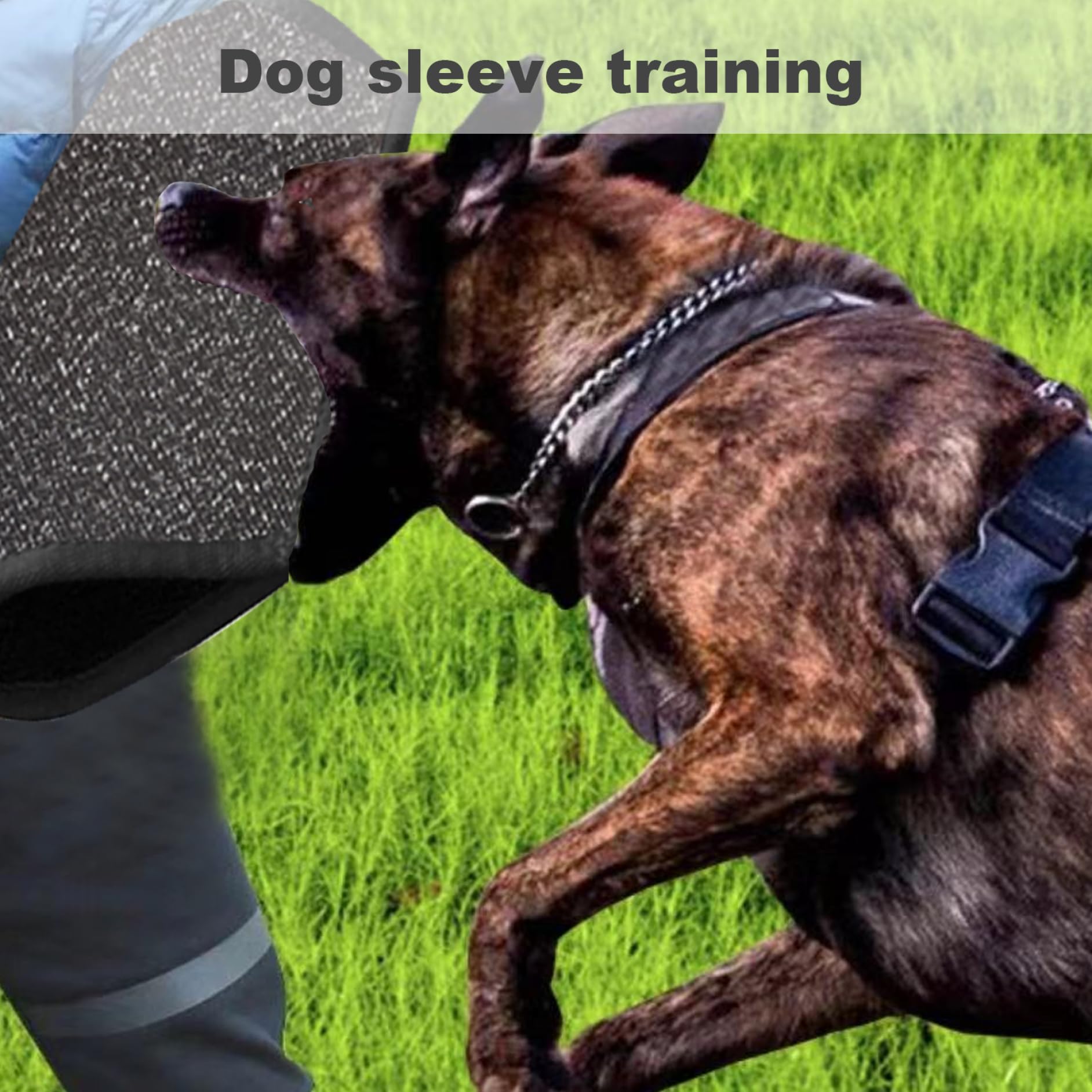 Manicotto per morsi per cani in nylon, protezione per braccio per addestramento professionale