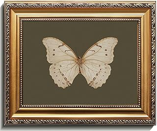 12 Golden Bathroom Ideas for Warm Elegant Luxe Style 116 Uniro Vintage Gold Framed Wall Art, Classical Butterfly Oil Paintings, D...