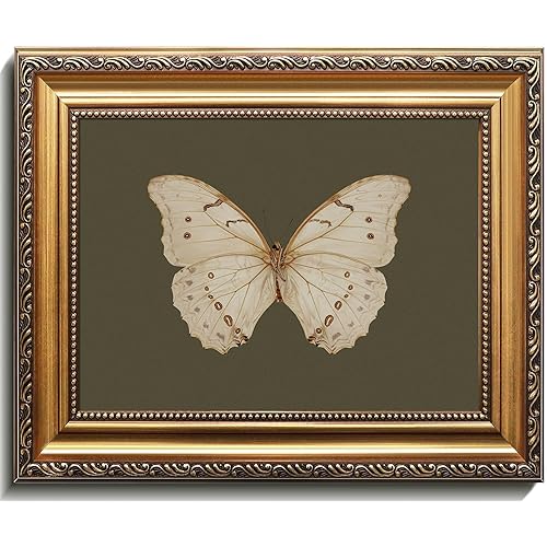 Uniro Vintage Gold Framed Wall Art, Classical Butterfly Oil Paintings, Dark Moody Insect Canvas Prints Artwork with Antique Frame, Sage Green Wall Decor Pictures for Bedroom, Kitchen, Shelf, Bathroom Wall Decor, Cottagecore Room Decor - 9x12Inch