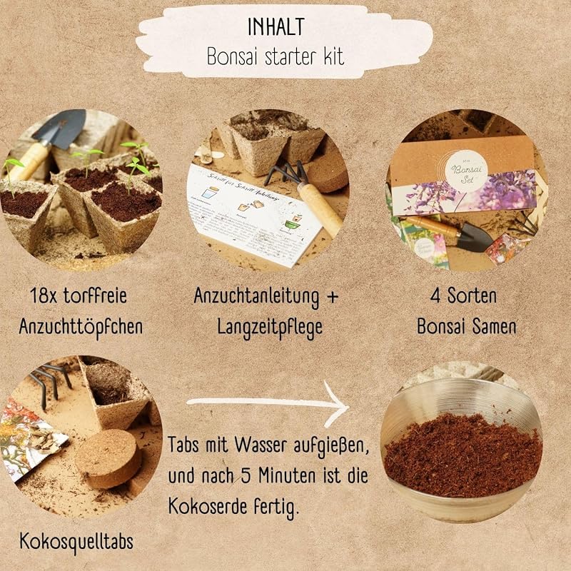 Loveplants Bonsai Kezdőcsomag - 4 Ritka Bonsai Mag Fenntartható Nélkül Műanyag