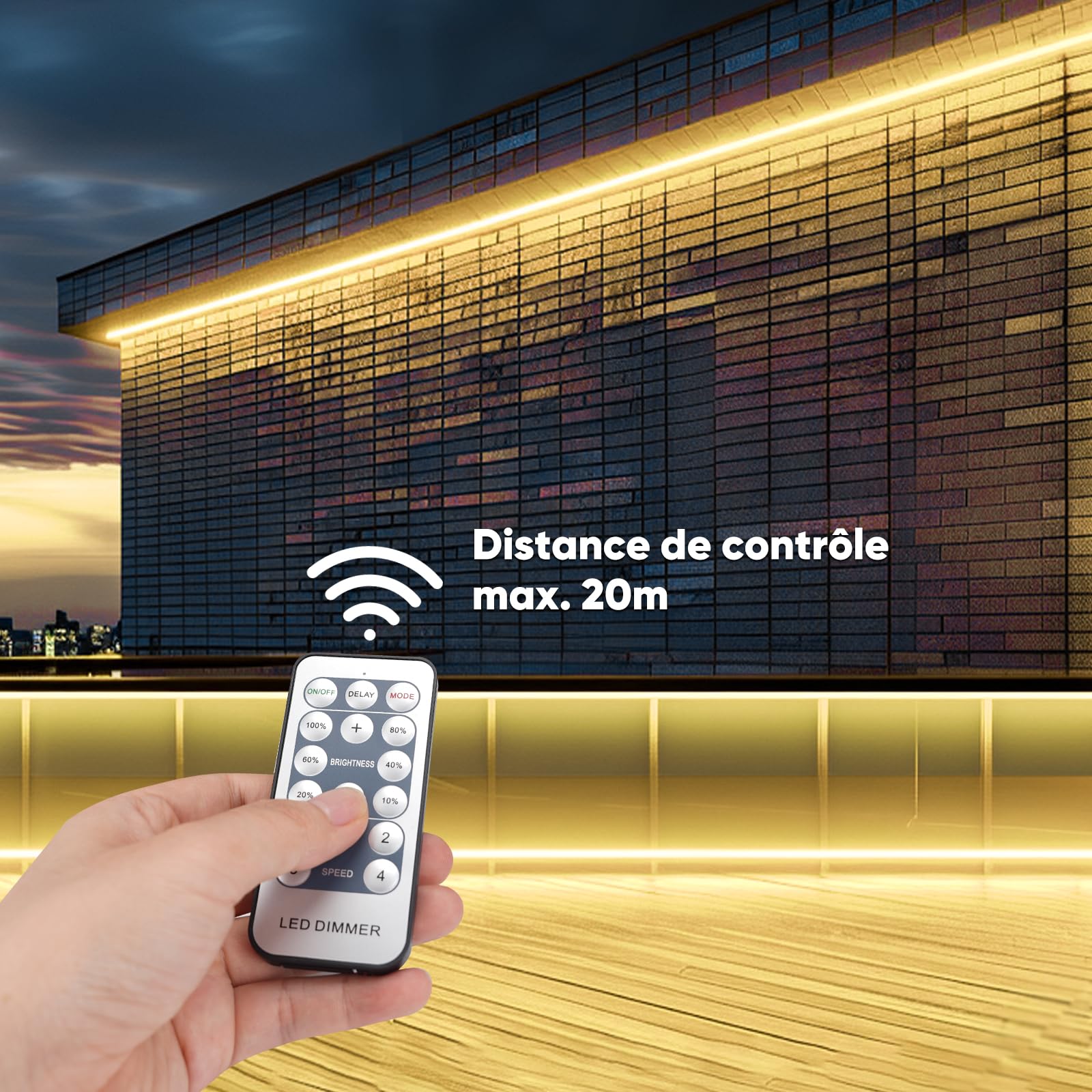 GZBtech Dimmer universale per strisce LED, dimmer da 500 Watt con telecomando, portata di controllo 20 m (spina a 2 pin)