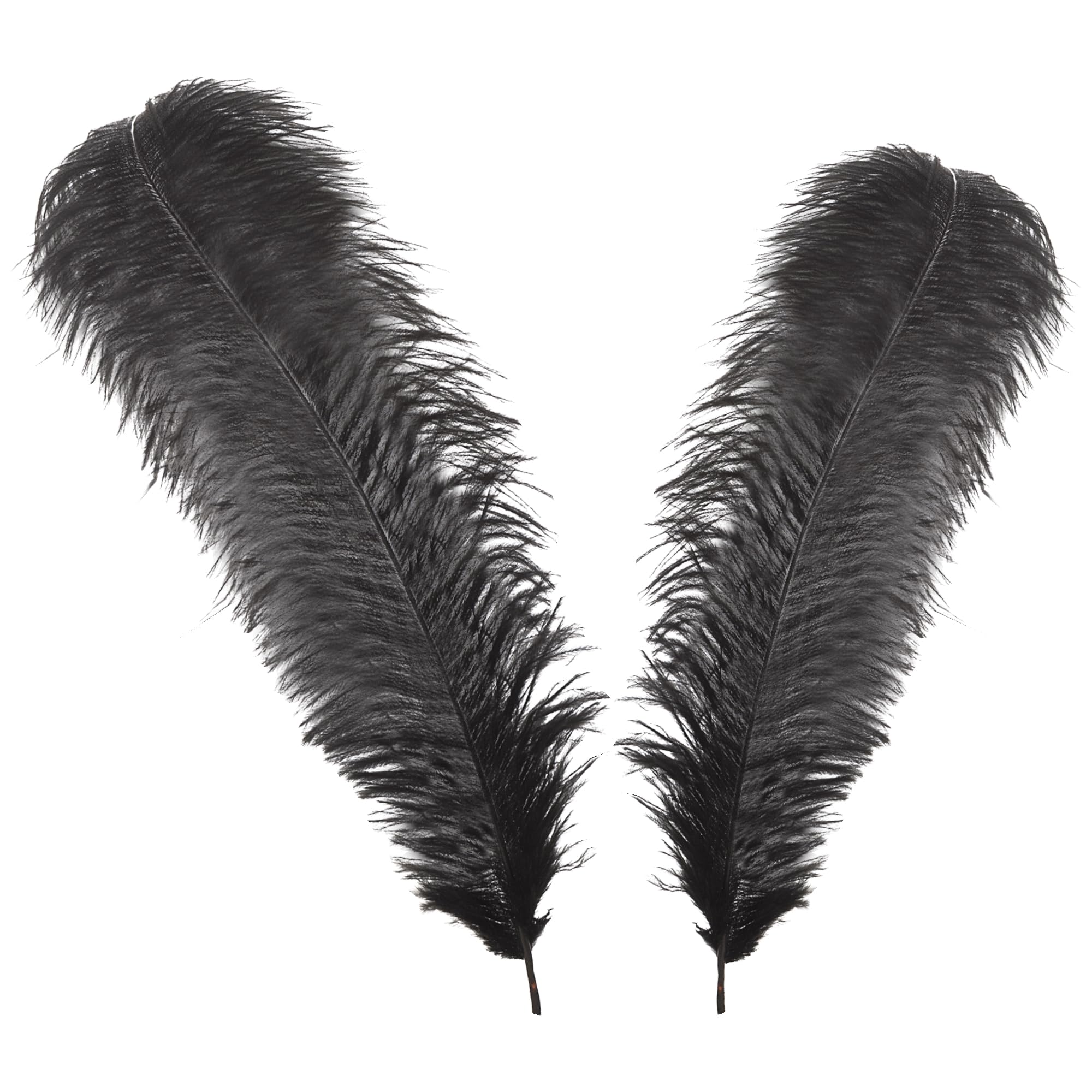 WedDecor Extra Large Black Natural Ostrich Feathers 19-23" (50-60cm) Long for Wedding Centerpieces, Home, Decorating Costumes, Embellishment, Art & Craft, Parties (Pack of 10)