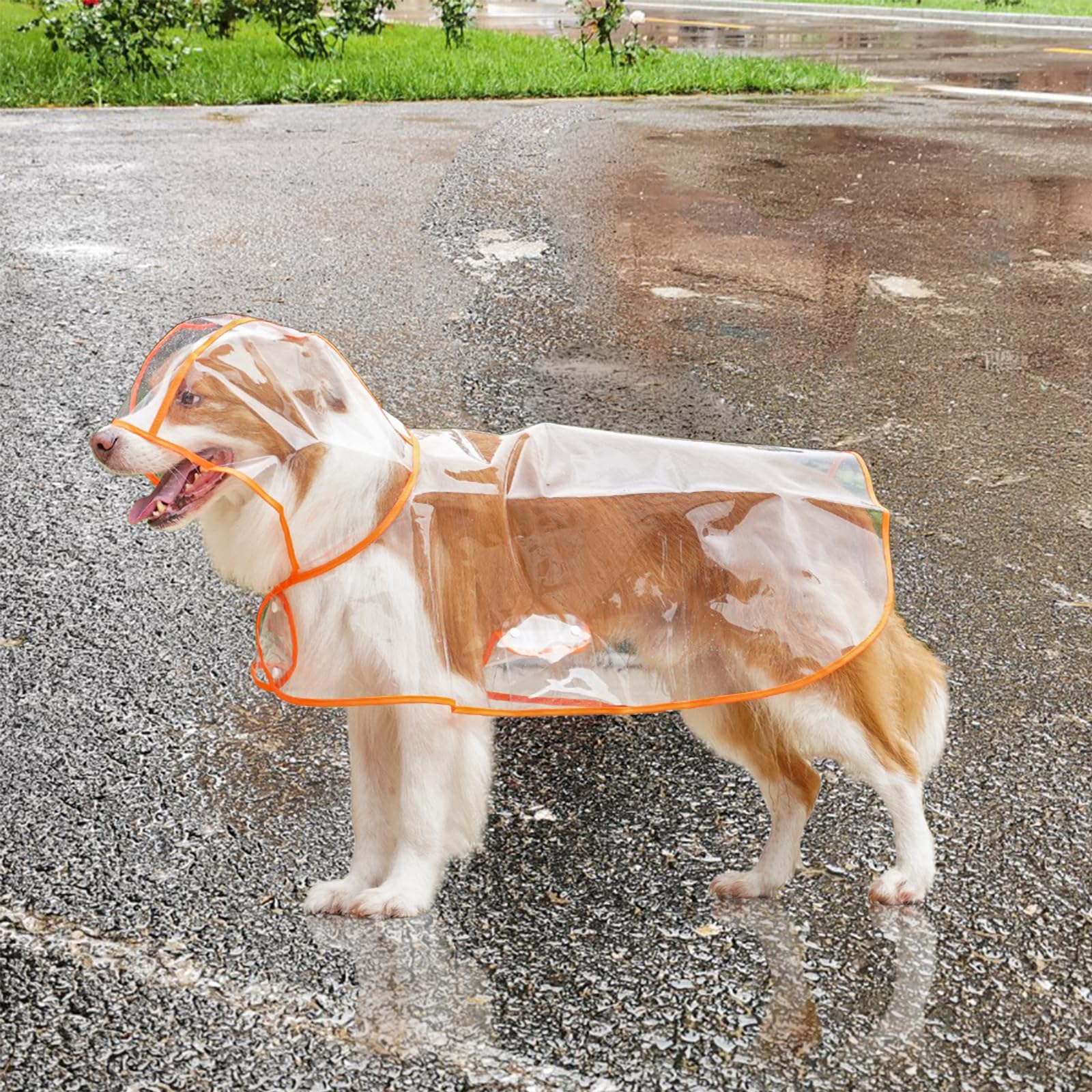 Impermeabile Per Cani, Cappotto Impermeabile Per Cani Con Cappuccio, Poncho Impermeabile Giacca Antipioggia Leggera Per Animali Ad Asciugatura Rapida Per Cane Taglia Media/Grande - Verde (20
