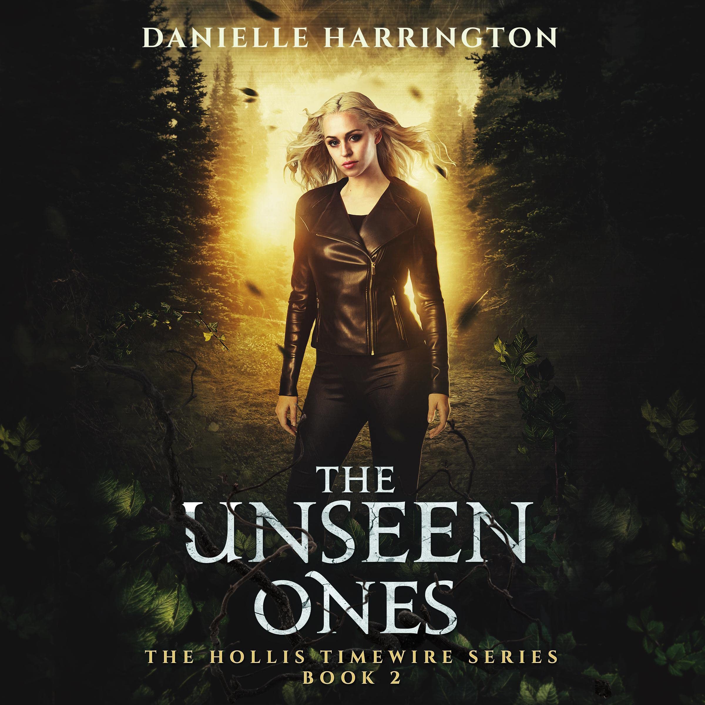 Cover art for The Unseen Ones