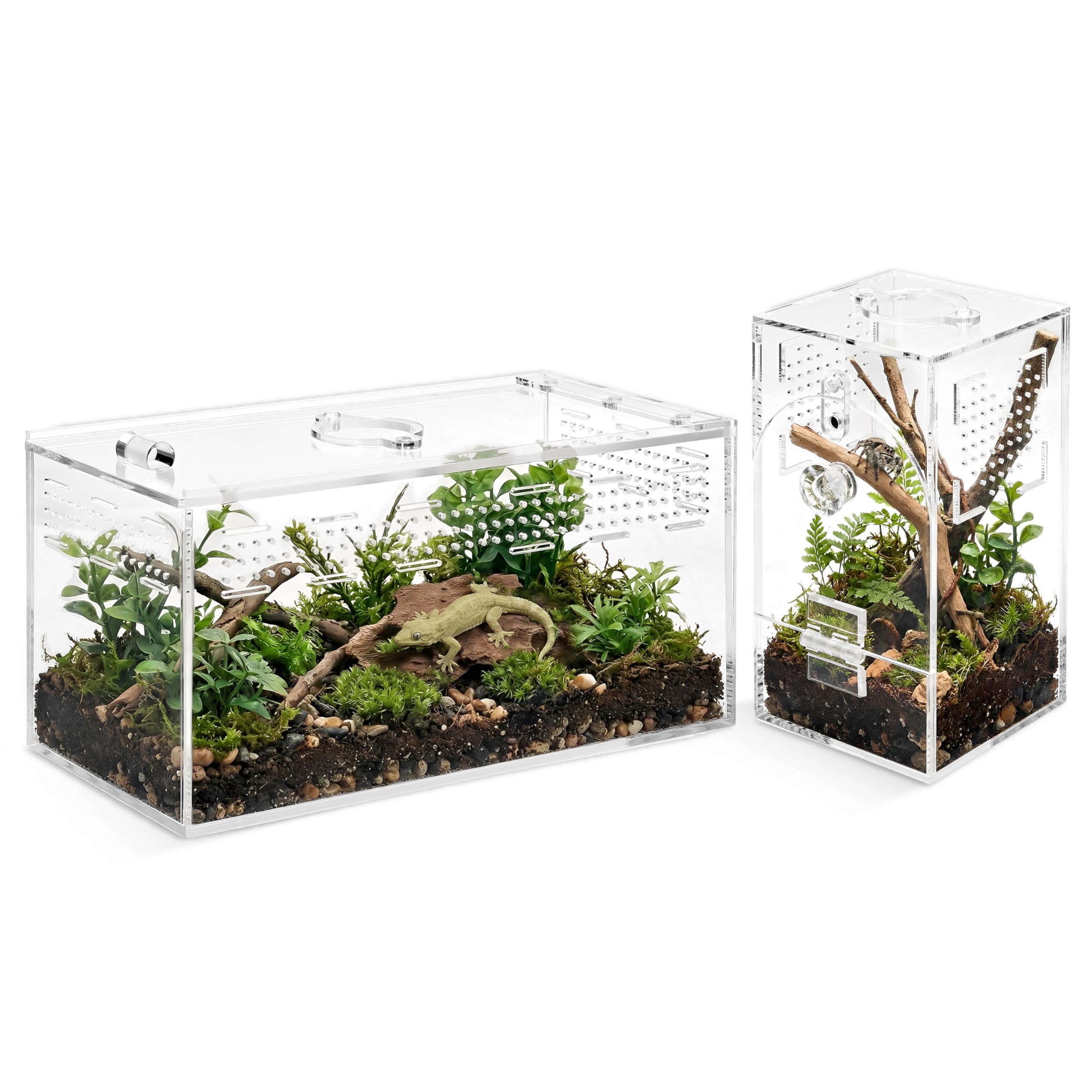 Umtiti 2-Pack Acrylic Transparent Spider Enclosure for Jumping Spider & Tarantula, No Assembly Mixed Size Terrarium (M)
