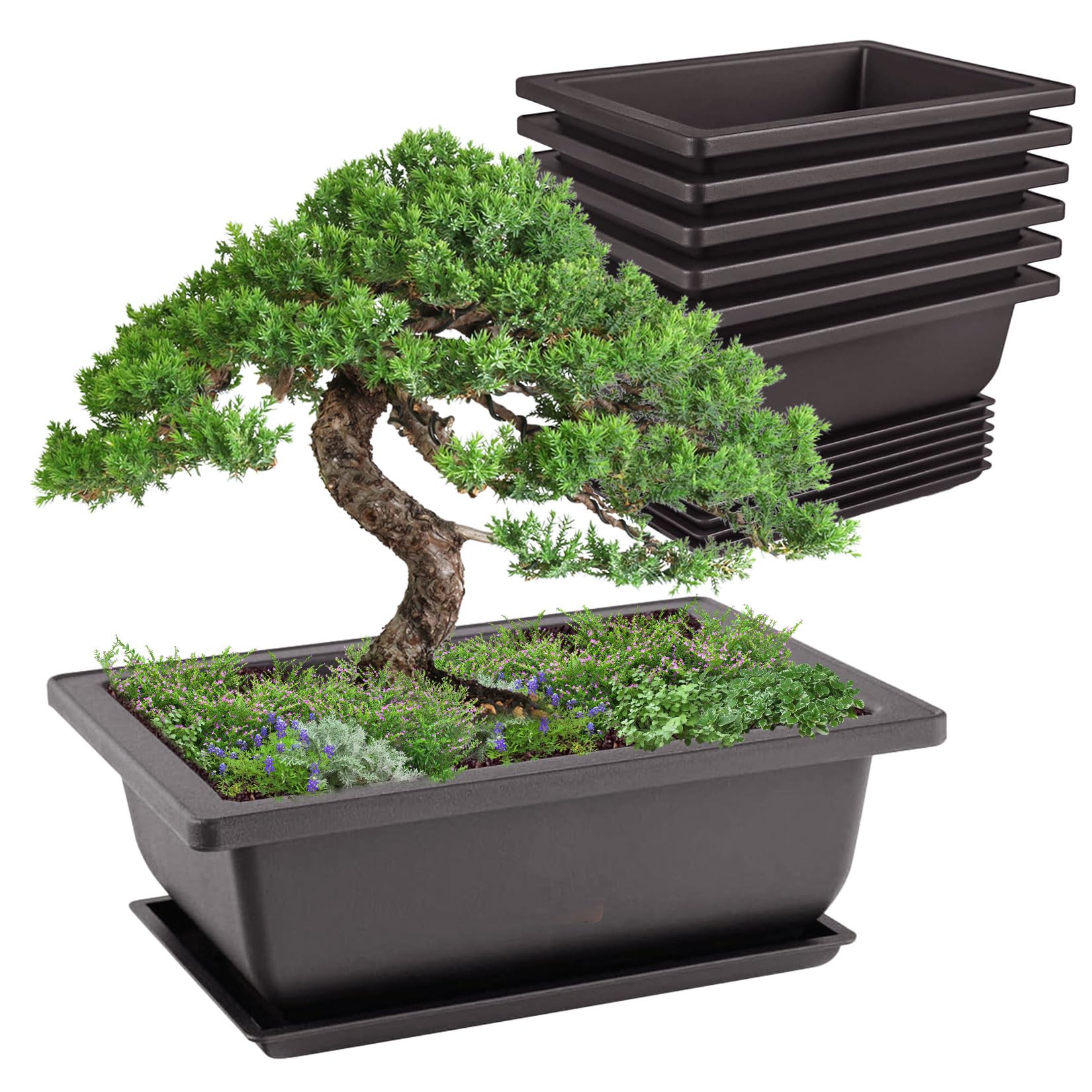 Idota 6 misek bonsai, 16,5 x 12 x 6 cm, doniczka bonsai, wielokrotnego użytku, z tackami, z tworzywa sztucznego, doniczki bonsai, do ogrodu, salonu, na balkon